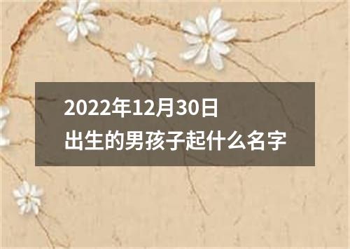 2022年12月30日出生的男孩子起什么名字