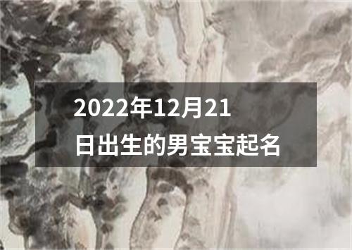 2022年12月21日出生的男宝宝起名