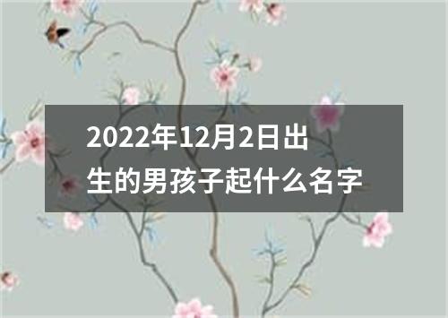 2022年12月2日出生的男孩子起什么名字