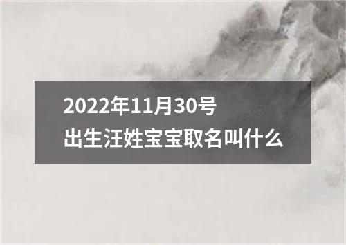 2022年11月30号出生汪姓宝宝取名叫什么