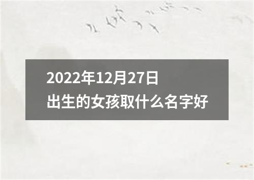 2022年12月27日出生的女孩取什么名字好