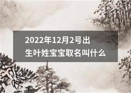2022年12月2号出生叶姓宝宝取名叫什么