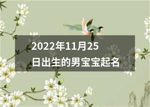 2022年11月25日出生的男宝宝起名