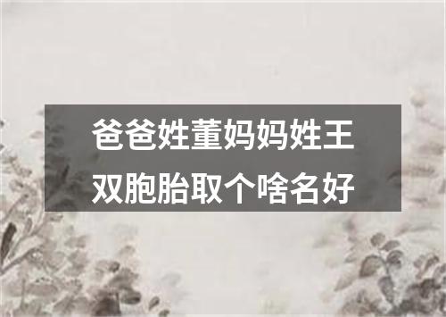爸爸姓董妈妈姓王双胞胎取个啥名好