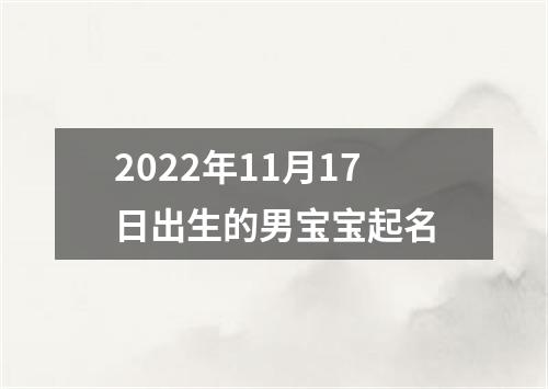 2022年11月17日出生的男宝宝起名