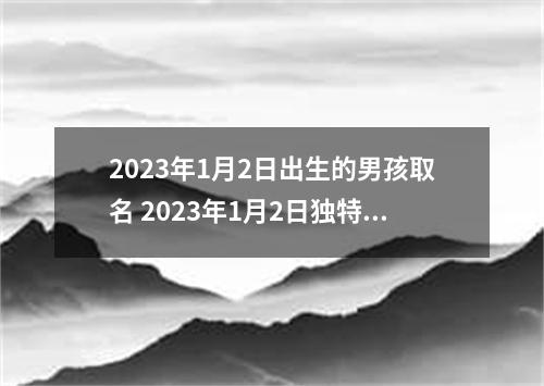 2023年1月2日出生的男孩取名 2023年1月2日独特个性的男生好名