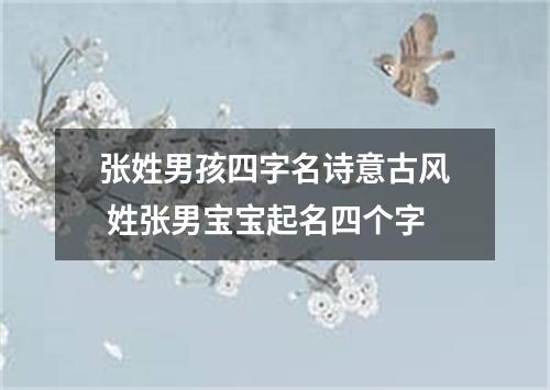 张姓男孩四字名诗意古风 姓张男宝宝起名四个字