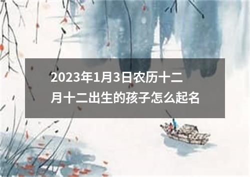 2023年1月3日农历十二月十二出生的孩子怎么起名