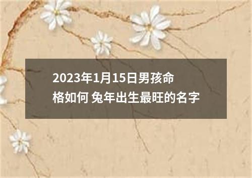 2023年1月15日男孩命格如何 兔年出生最旺的名字