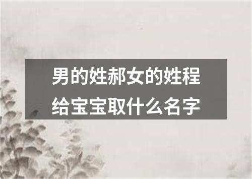 男的姓郝女的姓程给宝宝取什么名字