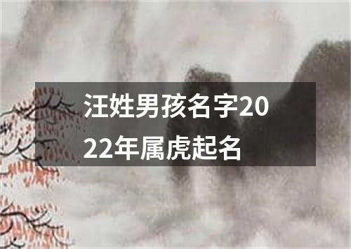 汪姓男孩名字2022年属虎起名