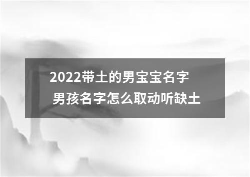 2022带土的男宝宝名字 男孩名字怎么取动听缺土