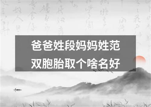 爸爸姓段妈妈姓范双胞胎取个啥名好