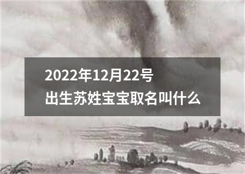 2022年12月22号出生苏姓宝宝取名叫什么