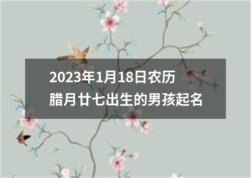 2023年1月18日农历腊月廿七出生的男孩起名