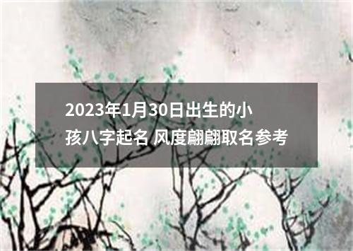 2023年1月30日出生的小孩八字起名 风度翩翩取名参考