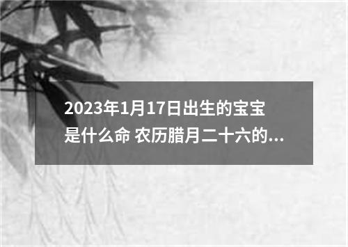 2023年1月17日出生的宝宝是什么命 农历腊月二十六的宝宝五行八字取名