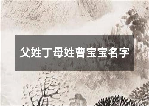 父姓丁母姓曹宝宝名字