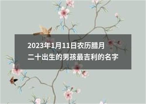 2023年1月11日农历腊月二十出生的男孩最吉利的名字