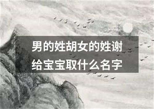 男的姓胡女的姓谢给宝宝取什么名字