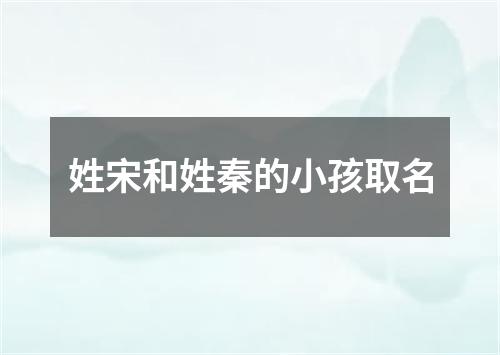 姓宋和姓秦的小孩取名