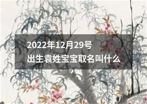 2022年12月29号出生袁姓宝宝取名叫什么