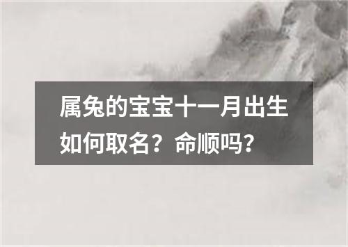属兔的宝宝十一月出生如何取名？命顺吗？
