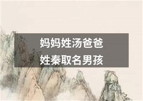 妈妈姓汤爸爸姓秦取名男孩