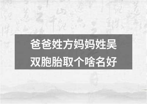 爸爸姓方妈妈姓吴双胞胎取个啥名好