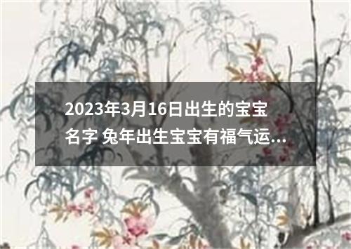 2023年3月16日出生的宝宝名字 兔年出生宝宝有福气运气名字