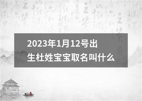 2023年1月12号出生杜姓宝宝取名叫什么