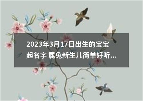2023年3月17日出生的宝宝起名字 属兔新生儿简单好听取名