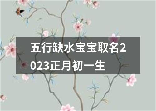 五行缺水宝宝取名2023正月初一生