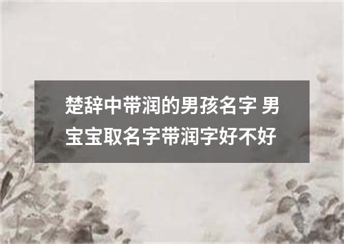 楚辞中带润的男孩名字 男宝宝取名字带润字好不好