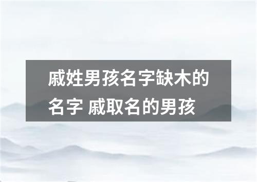 戚姓男孩名字缺木的名字 戚取名的男孩