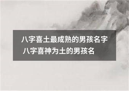 八字喜土最成熟的男孩名字 八字喜神为土的男孩名