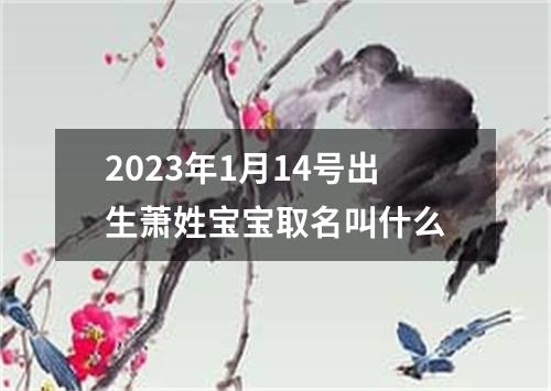 2023年1月14号出生萧姓宝宝取名叫什么
