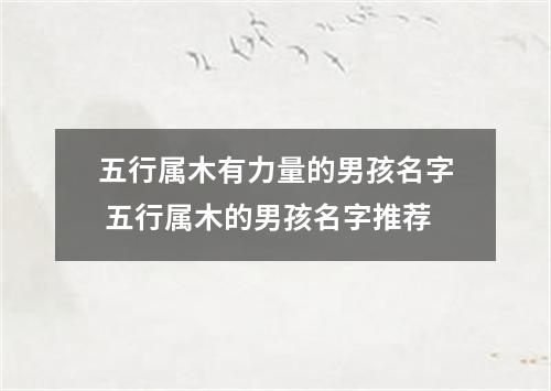 五行属木有力量的男孩名字 五行属木的男孩名字推荐