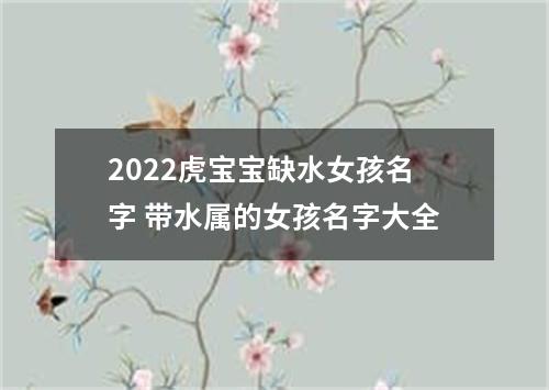 2022虎宝宝缺水女孩名字 带水属的女孩名字大全