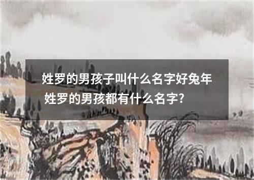 姓罗的男孩子叫什么名字好兔年 姓罗的男孩都有什么名字?
