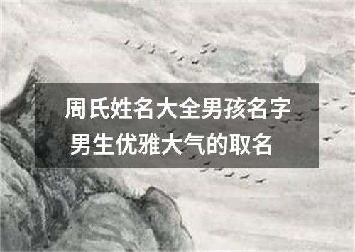 周氏姓名大全男孩名字 男生优雅大气的取名