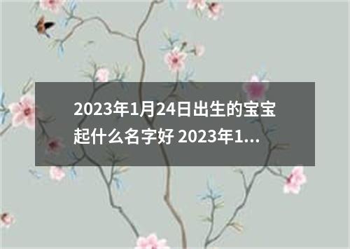 2023年1月24日出生的宝宝起什么名字好 2023年1月24日出生宝宝取名