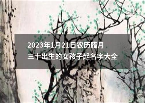 2023年1月21日农历腊月三十出生的女孩子起名字大全