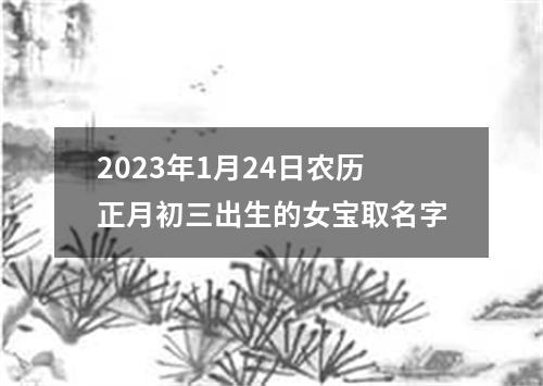 2023年1月24日农历正月初三出生的女宝取名字
