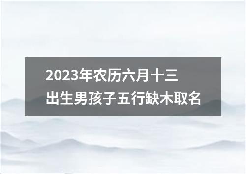 2023年农历六月十三出生男孩子五行缺木取名