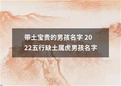 带土宝贵的男孩名字 2022五行缺土属虎男孩名字