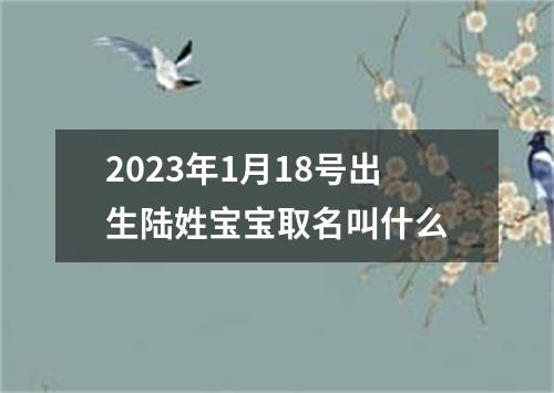 2023年1月18号出生陆姓宝宝取名叫什么