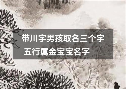 带川字男孩取名三个字 五行属金宝宝名字