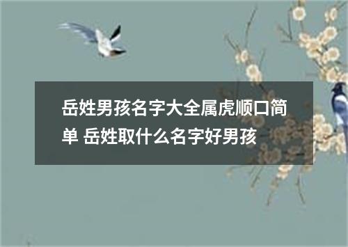 岳姓男孩名字大全属虎顺口简单 岳姓取什么名字好男孩