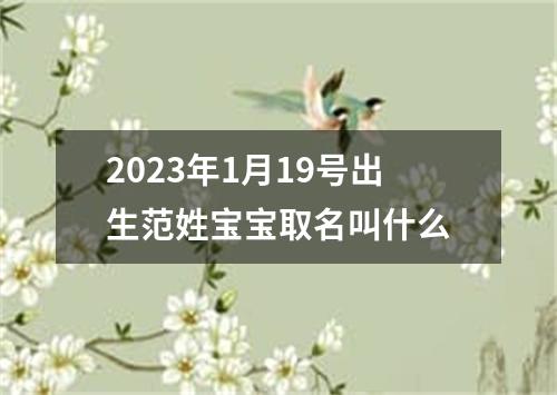 2023年1月19号出生范姓宝宝取名叫什么